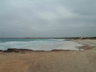 DSCF0051.JPG